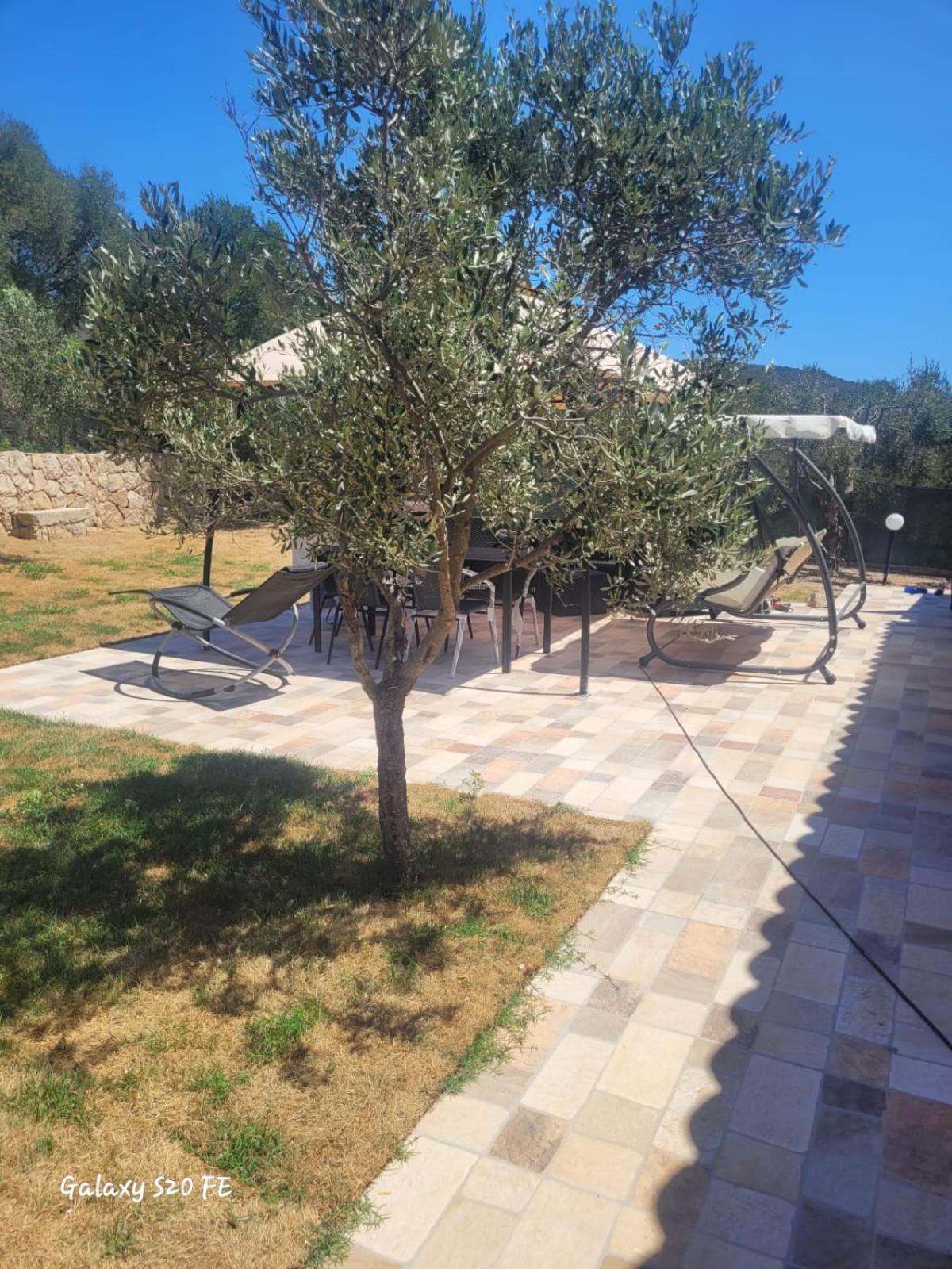 Residenza Degli Ulivi Lejlighed Olbia Eksteriør billede